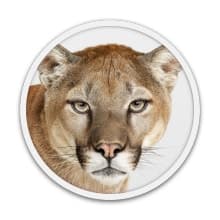 10.8 Mountain Lion